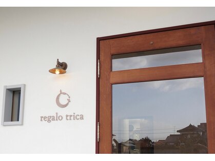 レガロトリカ(Vis regalo trica)の写真