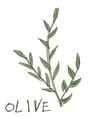 オリーブ(OLIVE)  OLIVE 