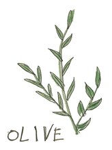 オリーブ(OLIVE) OLIVE