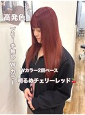 イエべ秋ブルベ冬ブリーチ無しWカラー高発色チェリーレッド