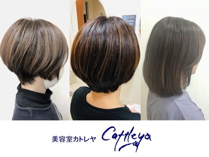 美容室カトレヤの写真