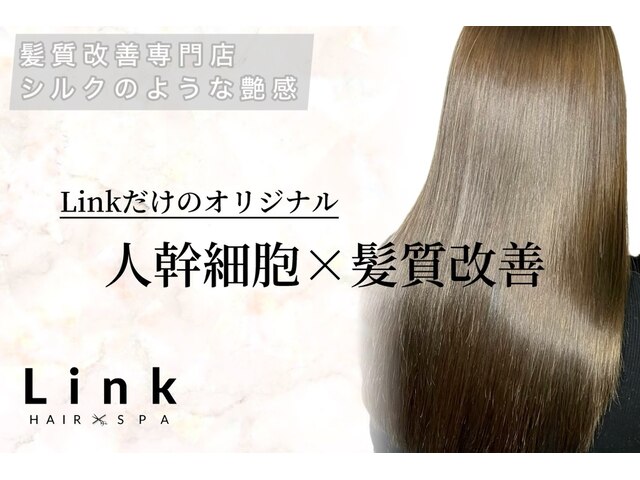 リンク(Link Hair&Spa)