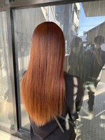 ネリネ(Nerine)&nbsp;オレンジブラウン