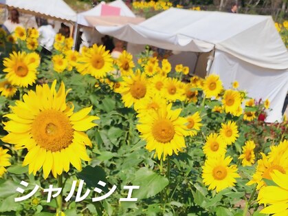 シャルシェ(Chercher)の写真