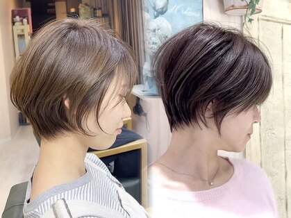 シエラ(ciela)の写真
