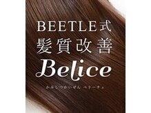 ビートル(Beetle)の雰囲気（BEETLEオリジナルの髪質改善メニュースタート【秋田市/秋田駅】）