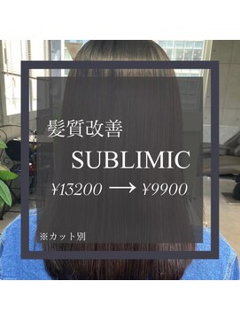 ヴィオラスバイポッシュ ギンザ(Violus by Posh GINZA) 髪質改善byサブリミック（酸熱トリートメント）