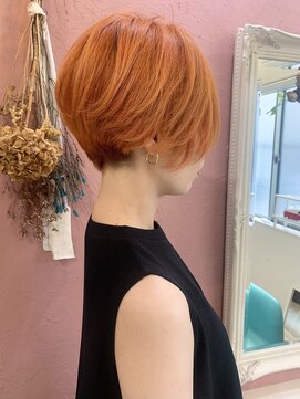 ラッシュグラス(Rush grass) オレンジハンサムショート