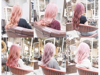 コニ(Coni)の写真