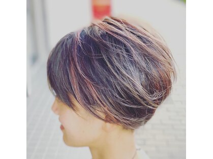 オマージュ(hommage)の写真