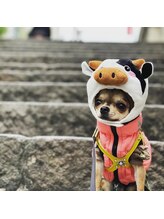 ヘアーラウンジ アルテ(hair lounge arte) 玲音