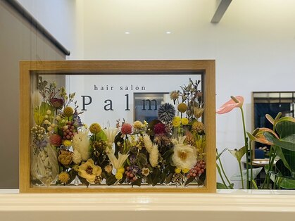 パーム(Palm)の写真