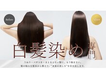 髪質改善メニューでキレイな艶髪