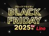 【BLACK・FRIDAY】コリアン羽エクステ 100本 通常価格88000円