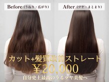 ディスコネクト(DISCO-N-NECT)