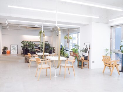 シカ(sica)の写真