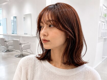 トイロ(toiro)の写真