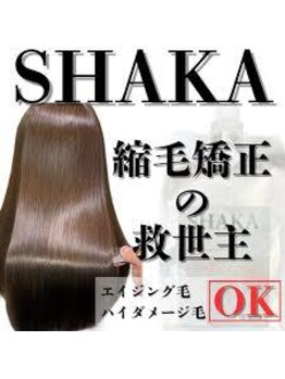 ゲスト バイ ディベスト(Guest by Dbest)の写真/最新商材を使い髪の悩み、ひろがりや、ぱさつき、ダメージをベストな施術で美髪へ導くお悩み改善サロン！