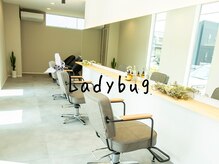 レディバグ(Ladybug)