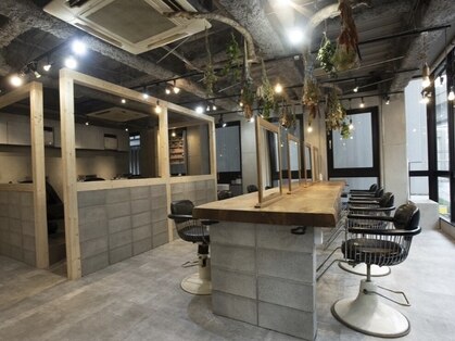 メイナ(MENA by safaria)の写真