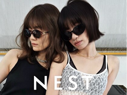 ネスト(NEST)の写真