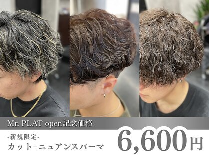 ミスタープラット(Mr.PLAT)の写真