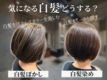 ビグディーサロン(BIGOUDI salon mukonosou)の雰囲気(白髪ぼかし/白髪染めで悩みにあった白髪カバーを◎)