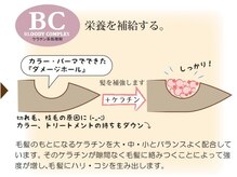 《ケラチン系処理剤》栄養を補給する。