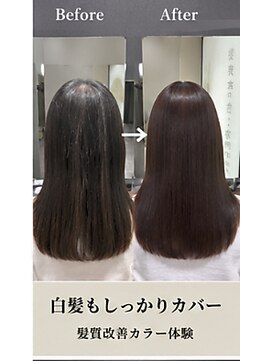 リアン(Lien) 【フルカラー】【白髪×艶髪】髪質改善カラー体験