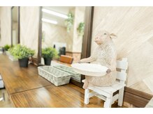 風の庭の雰囲気(スタッフ一同心よりお待ちしております♪)