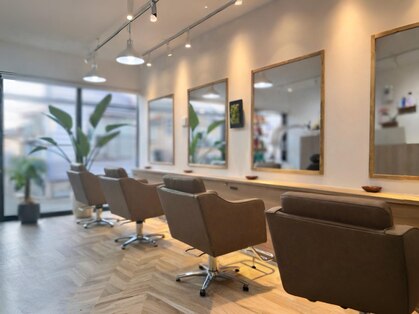 レセリア 南阿佐ヶ谷(Les Selia)の写真