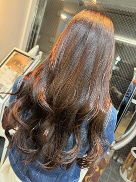 フォルマ FORMA ショコラブラウン