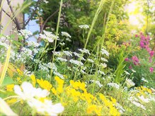 たさわ堂Aｍｏの雰囲気（明るい光が差し込む温かな室内から四季折々の庭も見えます）