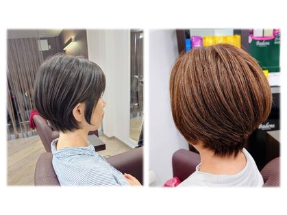 アライブ(ALIVE)の写真