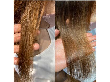 エランジョア(elanjoie)の写真