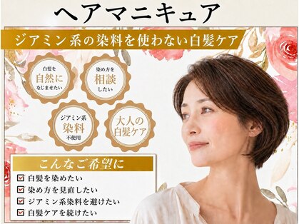 アネモナ(anemona)の写真