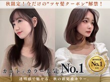 レビジュヘアー(LEVIJU HAIR)