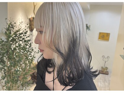 フリッカ(Flicka)の写真