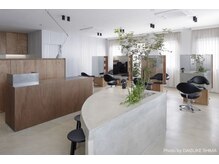 ラビリンス(Labyrinth)