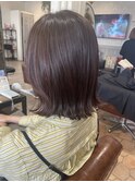 レイヤーボブ　　【大木】