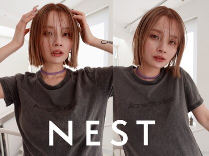 ネスト(NEST)の写真
