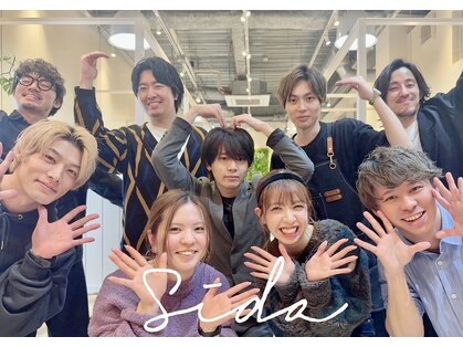 シダ(sida)の写真