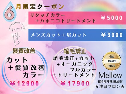 メロウ(Mellow)の写真