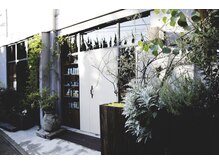 ウォール(wall)の雰囲気（たくさんの植物に囲まれた入り口が目印）