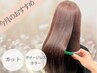 【今月のおすすめ】カット+ダメージレスカラー/¥13,200→¥6,600