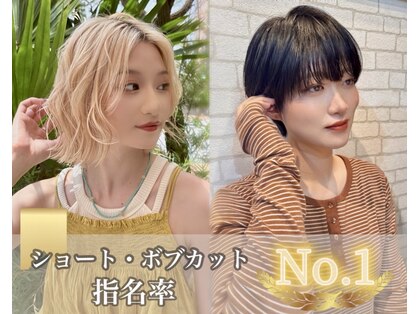 ノエ(Noe)の写真