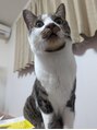 エアシー MEGAドン・キホーテ桐生店(EACY) 猫ちゃん4匹飼ってます！動物大好き！