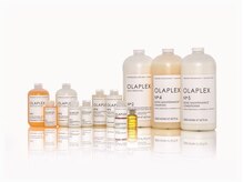 ヴィオラカラー(VIOLLA COLOR)の雰囲気（【世界特許】髪の傷みを修復し強くする特別なヘアケア）