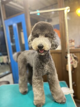 ガーフィー(garfy) スッキリスタイル