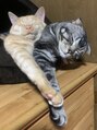ヒュー(HUE) ネコちゃん好きです。毎日愛猫たちに癒してもらってます笑